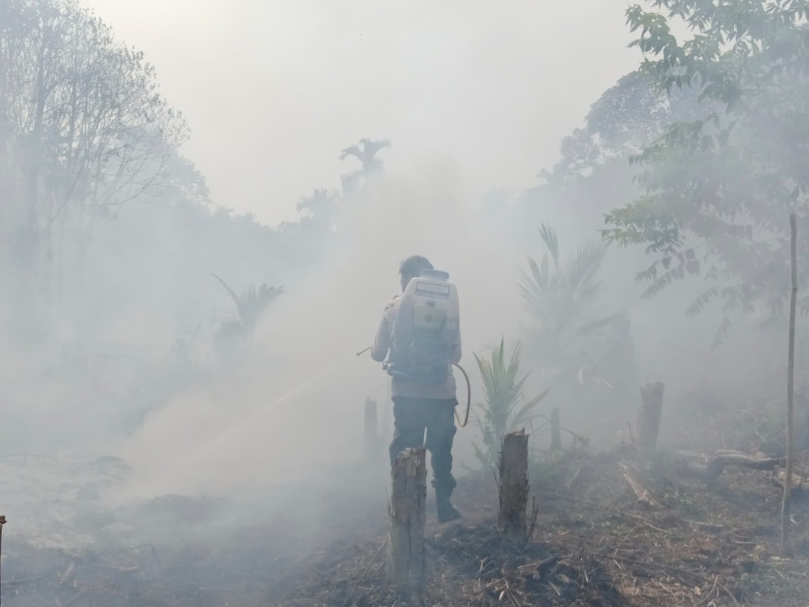 Kodam XIX Tuanku Tambusai Perkuat Penanganan Karhutla di Gaung, 2 Hektare Lahan Terbakar